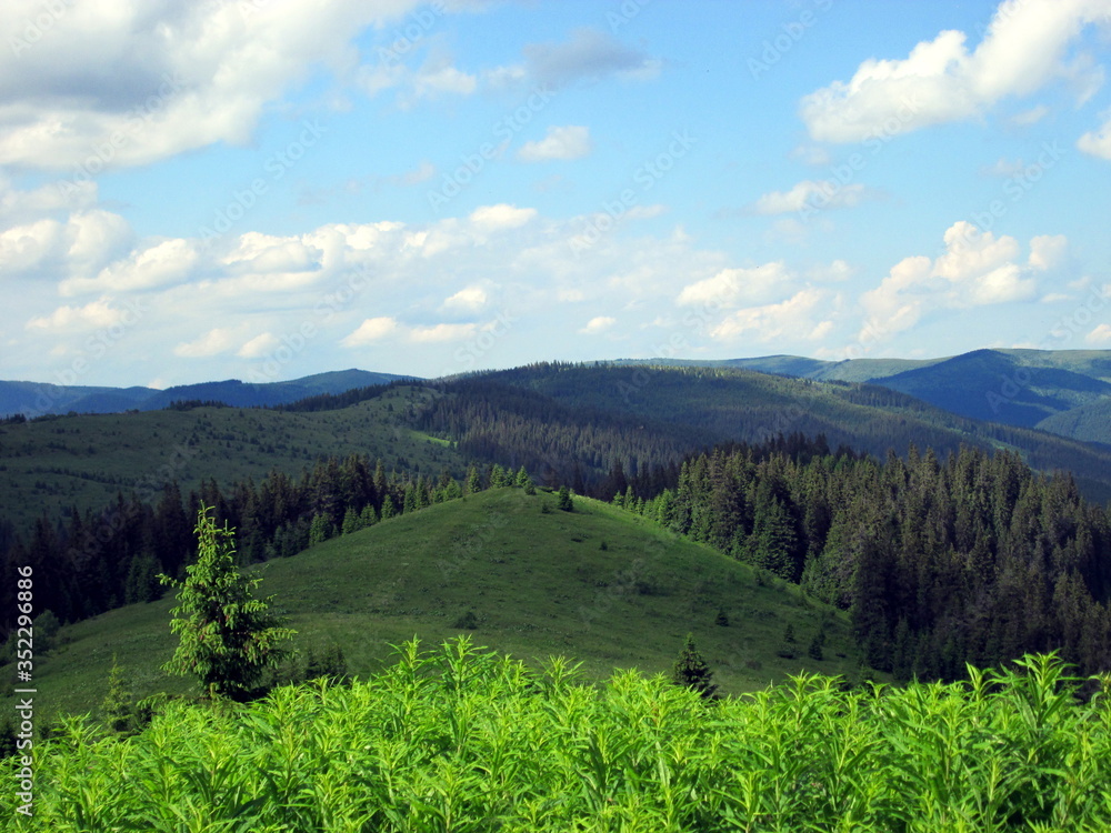 Beautiful summer travel in the mountains Beautiful summer travel in the mountains