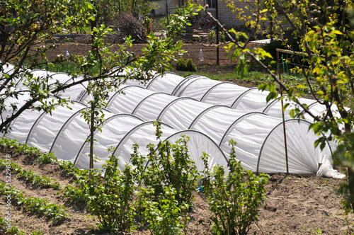 Canvastavla Mini greenhouse in the garden