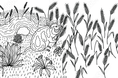 Coloring book. lousy mouse eats wheat. Vector stock illustration eps 10. Hand drawing.