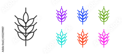 Black line Hop icon isolated on white background. Set icons colorful. Vector
