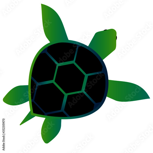 Green and Aqua Vector Sea Turtle
