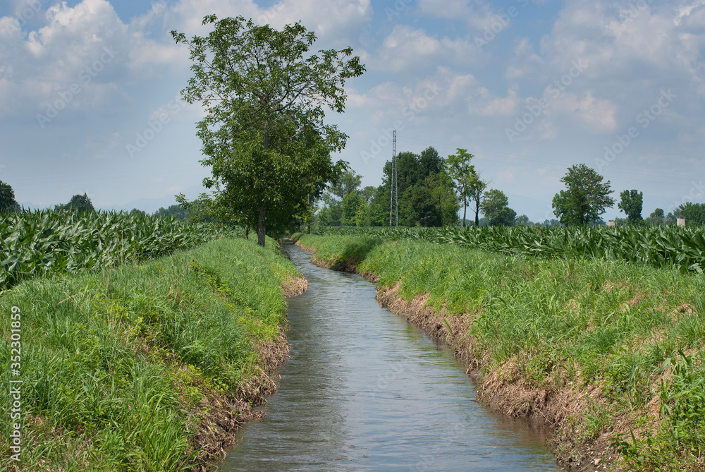 canale per irrigazione agricola in campagna canale per irrigazione agricola in campagna