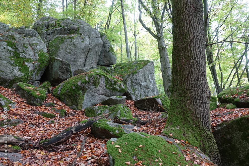 Wildweibchenstein Wildweibchenstein