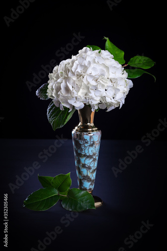 White hydrangea in vase