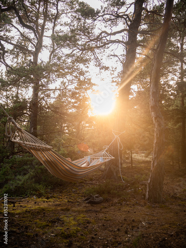 Relaxing in a hammock, enjoying the sunset