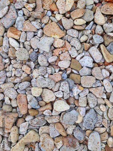 The texture in the form of stones, pebbles. In the botanical garden. Photo background