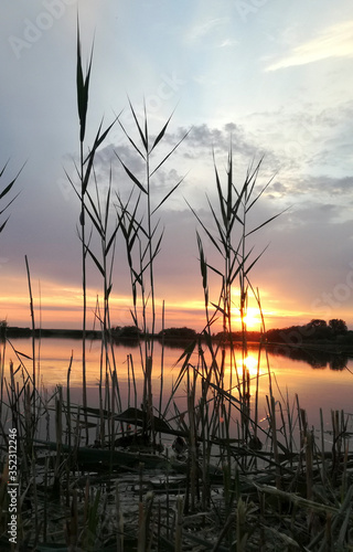 Tranquil and calm landscape