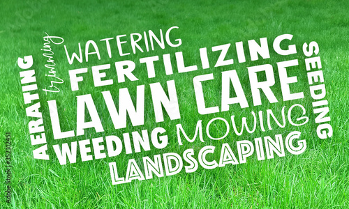 Lawn Care Service Landcaping Mowing Grass Trimming 3d Illustration photo