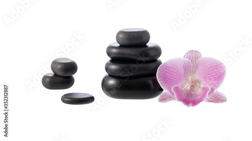 Black basalt stones for hot massage with orchid flower isolated on white