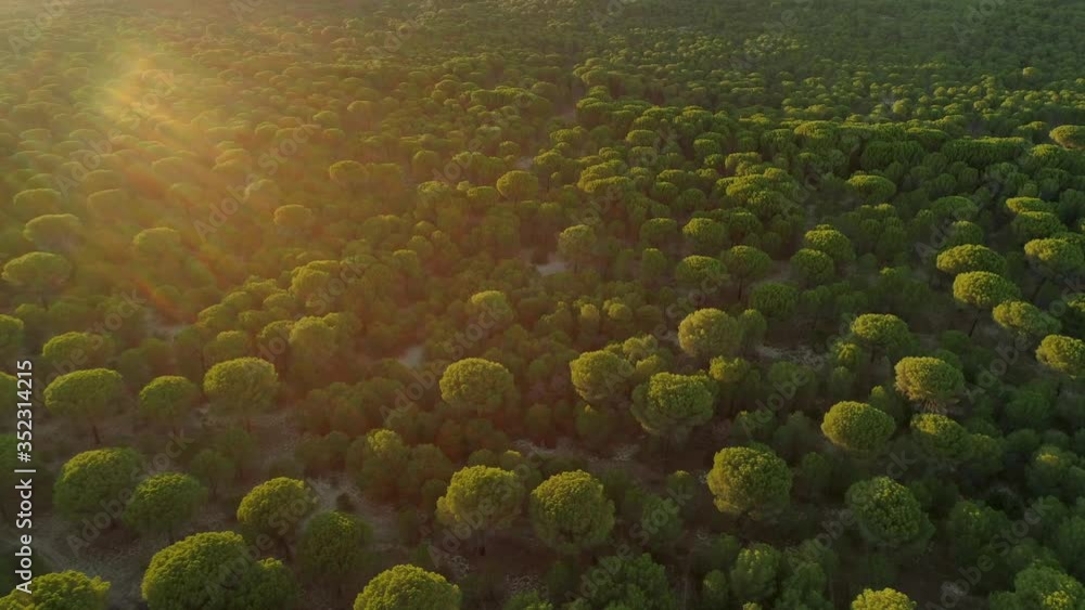 Aerial images of forests and nature Aerial images of forests and nature