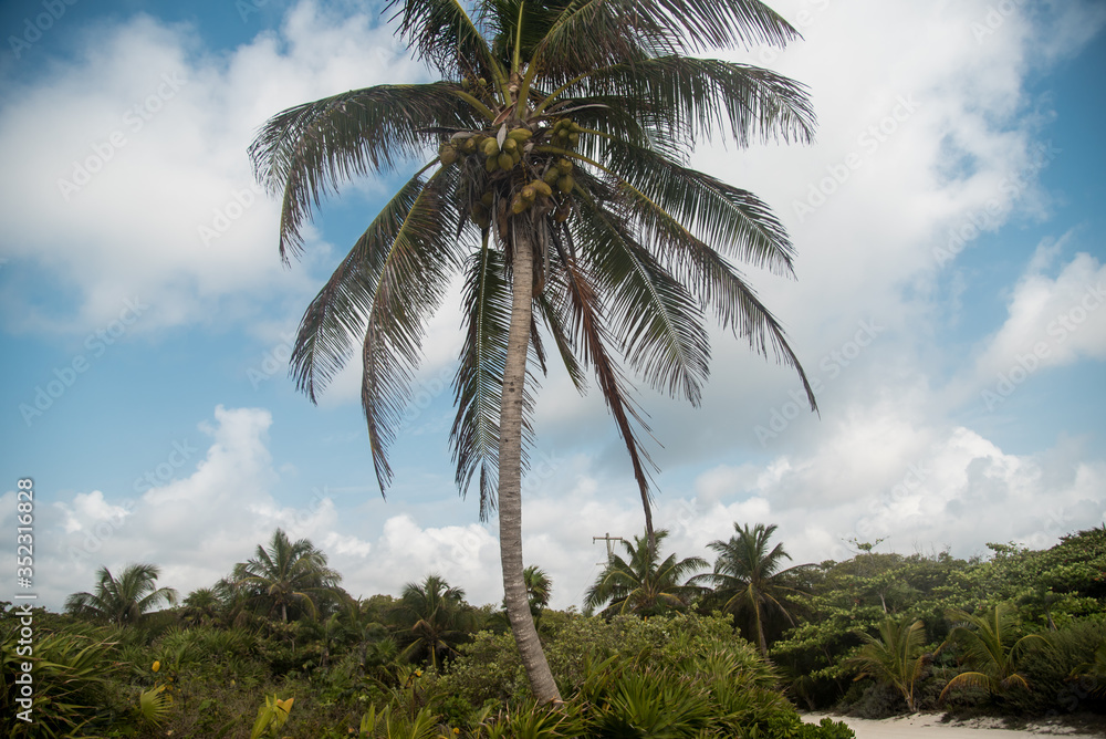 Path to the beach, Xcacel