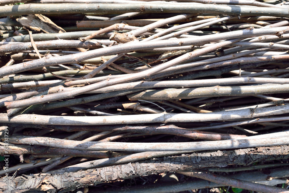 brushwood, branches as a texture for the background brushwood, branches as a texture for the background