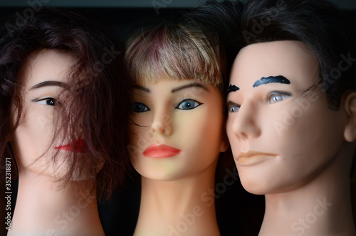 beautiful multi-colored wigs stand on a shelf