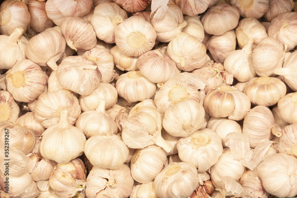 Pile of white garlic close-up. Young garlic is laid out on the counter. The concept of vitamins from a natural product, prevention from diseases or viruses, a culinary ingredient. Pile of white garlic close-up. Young garlic is laid out on the counter. The concept of vitamins from a natural product, prevention from diseases or viruses, a culinary ingredient.