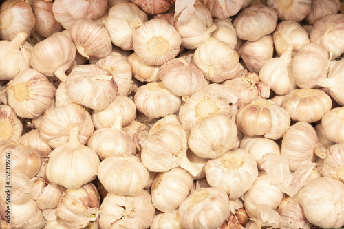 Pile of white garlic close-up. Young garlic is laid out on the counter. The concept of vitamins from a natural product, prevention from diseases or viruses, a culinary ingredient.