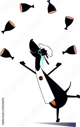 Dog a cook juggles the gigots illustration. Funny dachshund a cook juggles the knuckle isolated on white illustration
