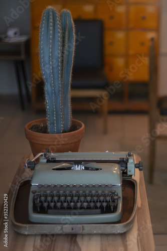 A typewriter and a large cactus on a wooden table