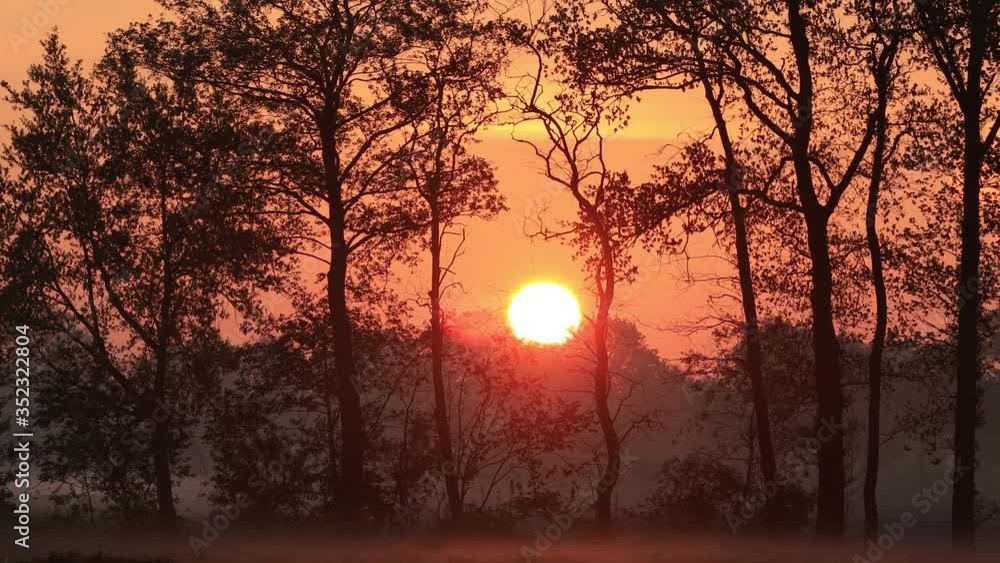 sunrise morning nature landscape, realtime
sunrise morning nature landscape, realtime