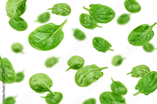 Falling Spinach isolated on white background, selective focus