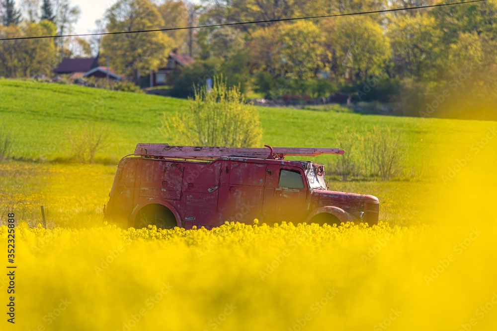 Red obsolite firetruck with ladder in a yellow rape seed field during early summer. Red obsolite firetruck with ladder in a yellow rape seed field during early summer.