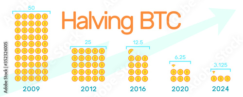Halving bitcoin 2024 infographic.Block reward reduced in two times every four years.Deflationary currency.Creative blockchain technology banner for website.Vector illustration on white background 