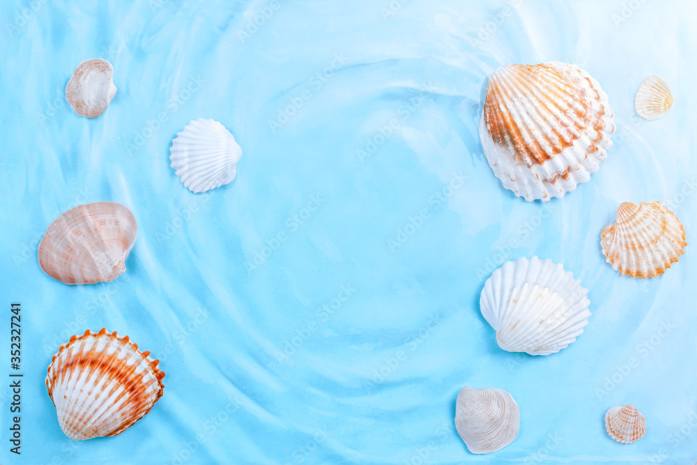 Sea shells of different sizes underwater, copy space. Various seashells in blue water with waves, top view, summer background Sea shells of different sizes underwater, copy space. Various seashells in blue water with waves, top view, summer background