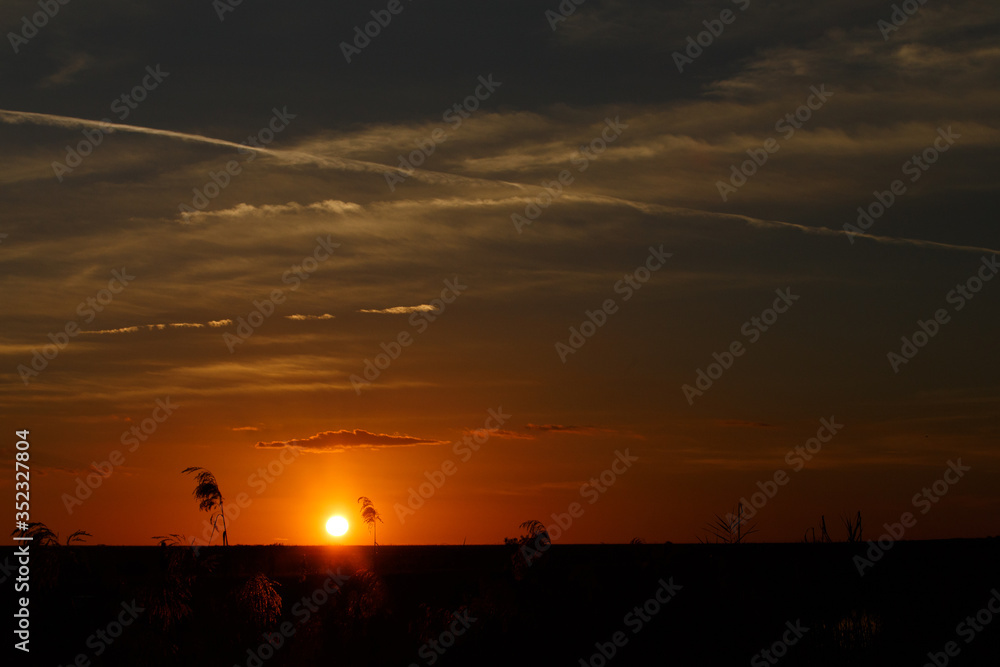 Naklejka premium Sun on the horizon