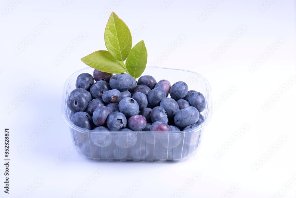 Blueberries Blueberries