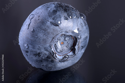 Картината върху платно Blueberries