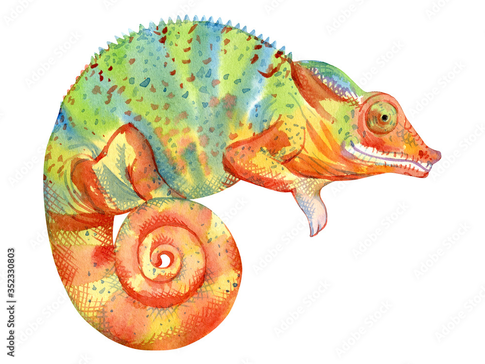 Obraz premium Watercolor painting of chameleon isolated on white background. Original stock illustration of lizard.