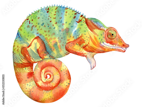 Watercolor painting of chameleon isolated on white background. Original stock illustration of lizard.