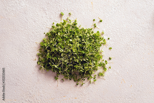 Micro greens on a white background. Microgreens sprouts at home. Vegan and healthy eating concept. Top view, copy space.