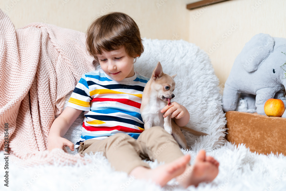 Happy little child boy playing online game, watching video on cellphone. Smiling small kid using funny mobile apps, enjoying free leisure time at home, play together with puppy dog chihuahua Happy little child boy playing online game, watching video on cellphone. Smiling small kid using funny mobile apps, enjoying free leisure time at home, play together with puppy dog chihuahua