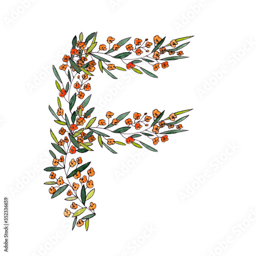 letter F of the english and latin floral alphabet. graphic on a white background. letter F of sprigs blooming with orange flowers.