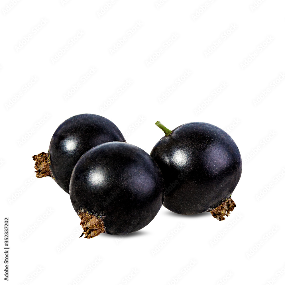 Black currants isolated on white background with clipping path Black currants isolated on white background with clipping path