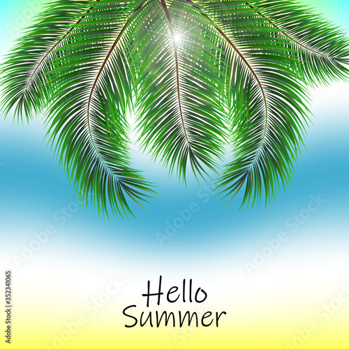 Hello Summer Vector Illustration - Bold Text with Palm Trees on Defocused Ocean Background © Nikolas