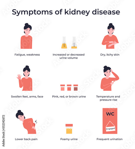 Set symptoms of kidney disease. Flat vector cartoon modern illustration.