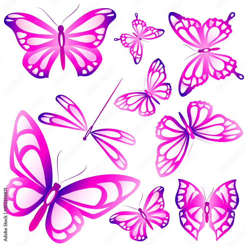 butterfly632 butterfly632