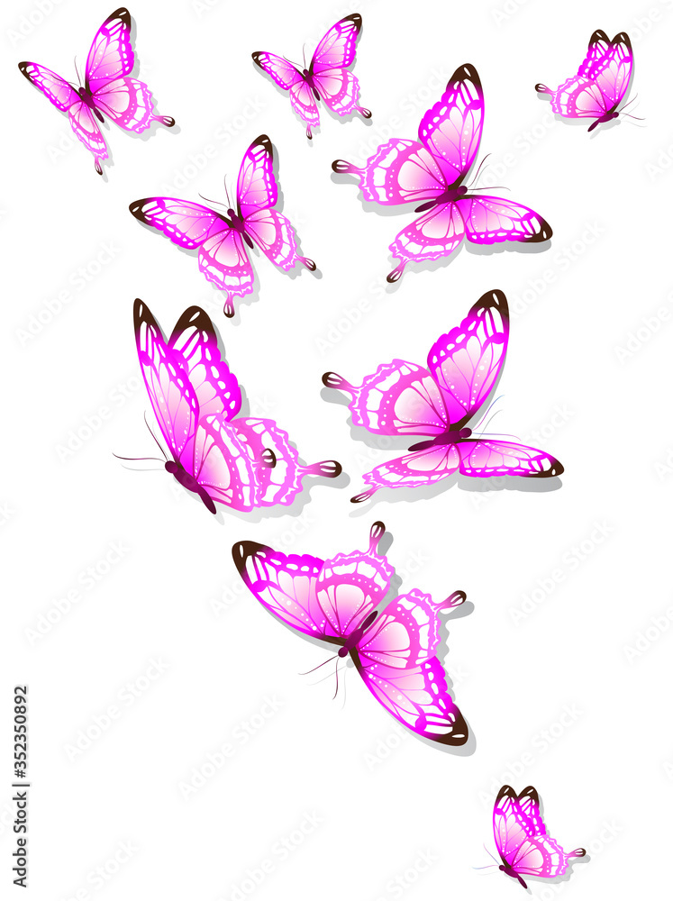 butterfly634 butterfly634