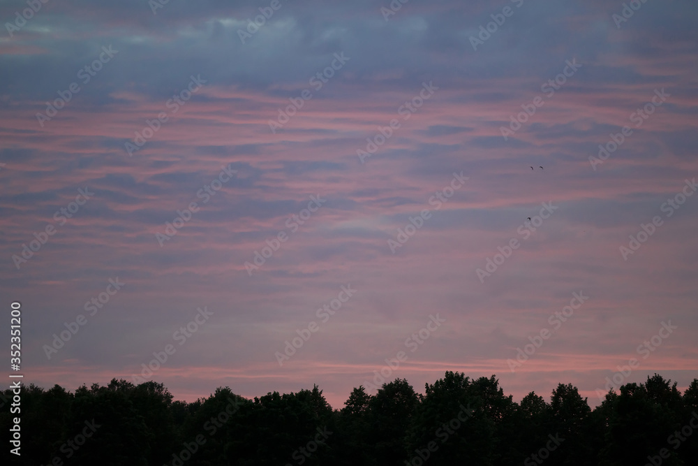 the beautiful pink clouds