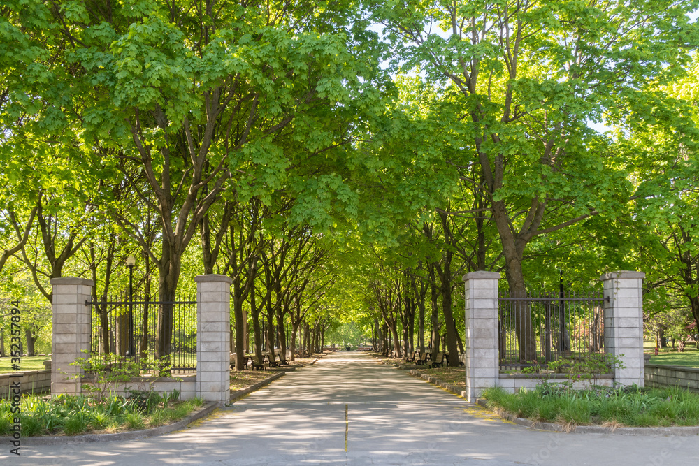 Entrance to the Lafontaine Park with a shady walkway in Montreal, Canada
