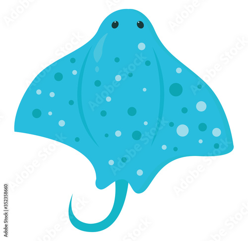 Angelshark , illustration, vector on white background