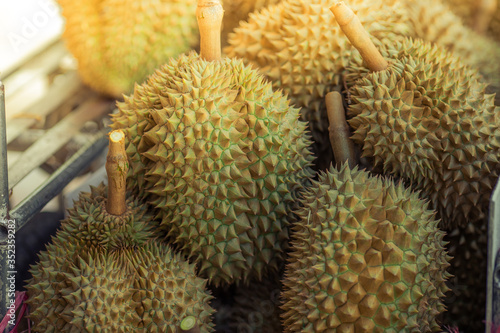 A close-up view of the seasonal fruit that one of the most popular (Durian) that is cut from the tree and placed for sale, has a sweet and delicious flavor.