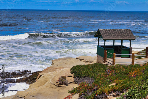 Blooming flowers along the coast at La Jolla Cove in San Diego