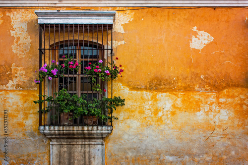 Old window with flowers and grunge texture