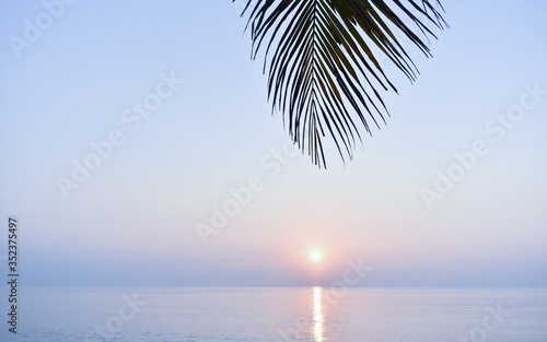 Coconut leaf is over the sunrise and sea