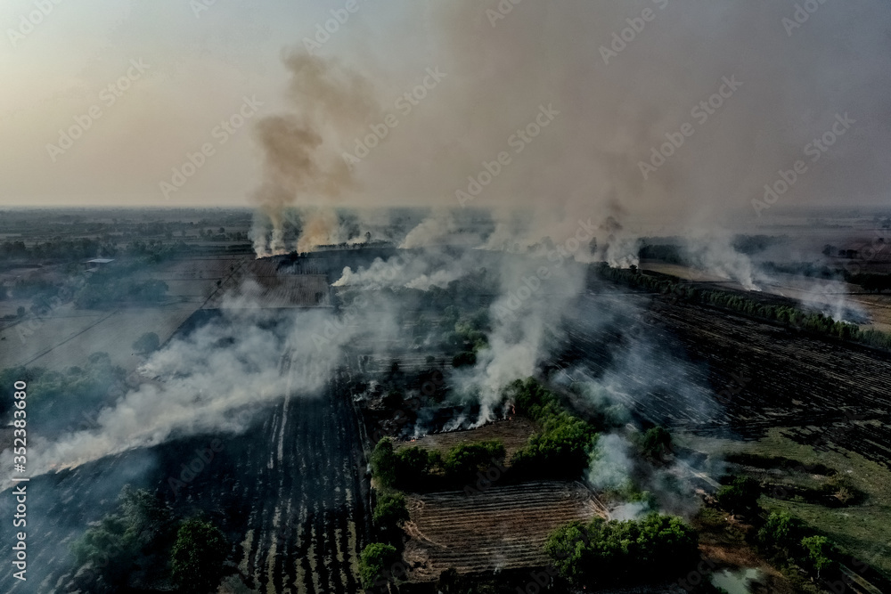 Fototapeta premium Smoke and burnt grass on the field.