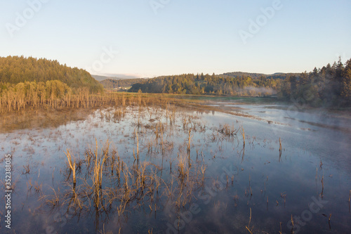 Swamp in the morning at dawn, in a couple in the forest. Morning landscape