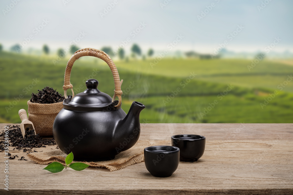 Cup of hot tea with teapot, green tea leaves and dried herbs on the wooden  table in plantations background with empty space, Organic product from the  nature for healthy with traditional Stock-foto