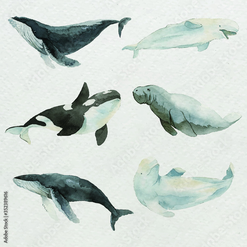 Sea mammals in watercolor set vector